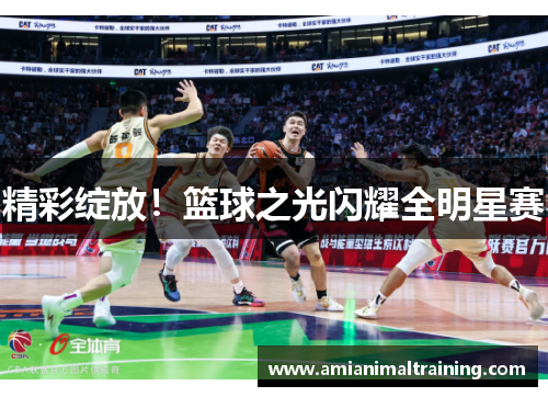 精彩绽放！篮球之光闪耀全明星赛