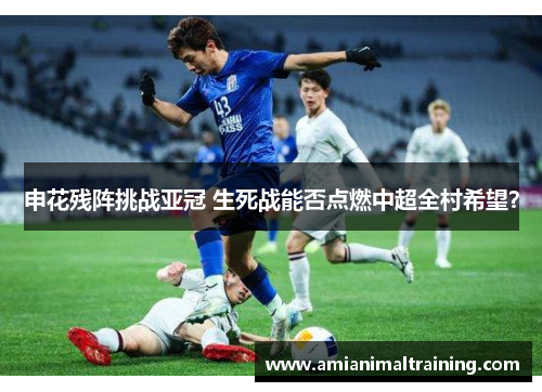 申花残阵挑战亚冠 生死战能否点燃中超全村希望？
