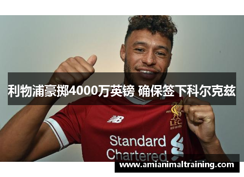 利物浦豪掷4000万英镑 确保签下科尔克兹