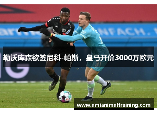 勒沃库森欲签尼科-帕斯，皇马开价3000万欧元