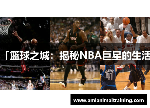 「篮球之城：揭秘NBA巨星的生活」