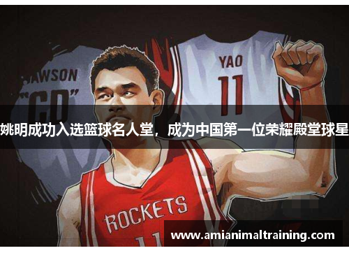 姚明成功入选篮球名人堂，成为中国第一位荣耀殿堂球星
