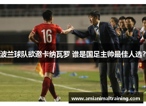 波兰球队欲邀卡纳瓦罗 谁是国足主帅最佳人选？